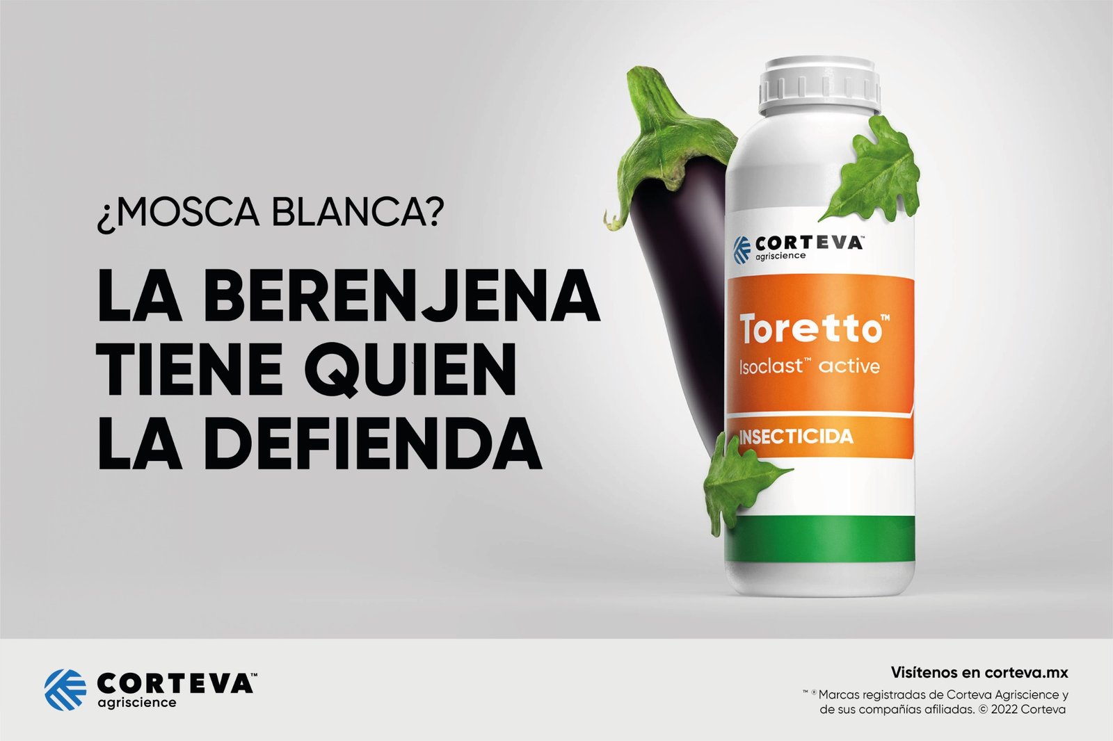 Key visual de Toretto para el cultivo de berenjena.
