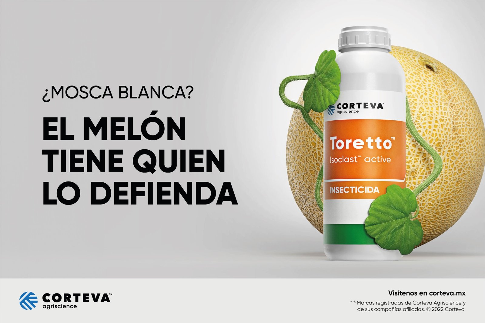 Key visual de Toretto para el cultivo de melón.