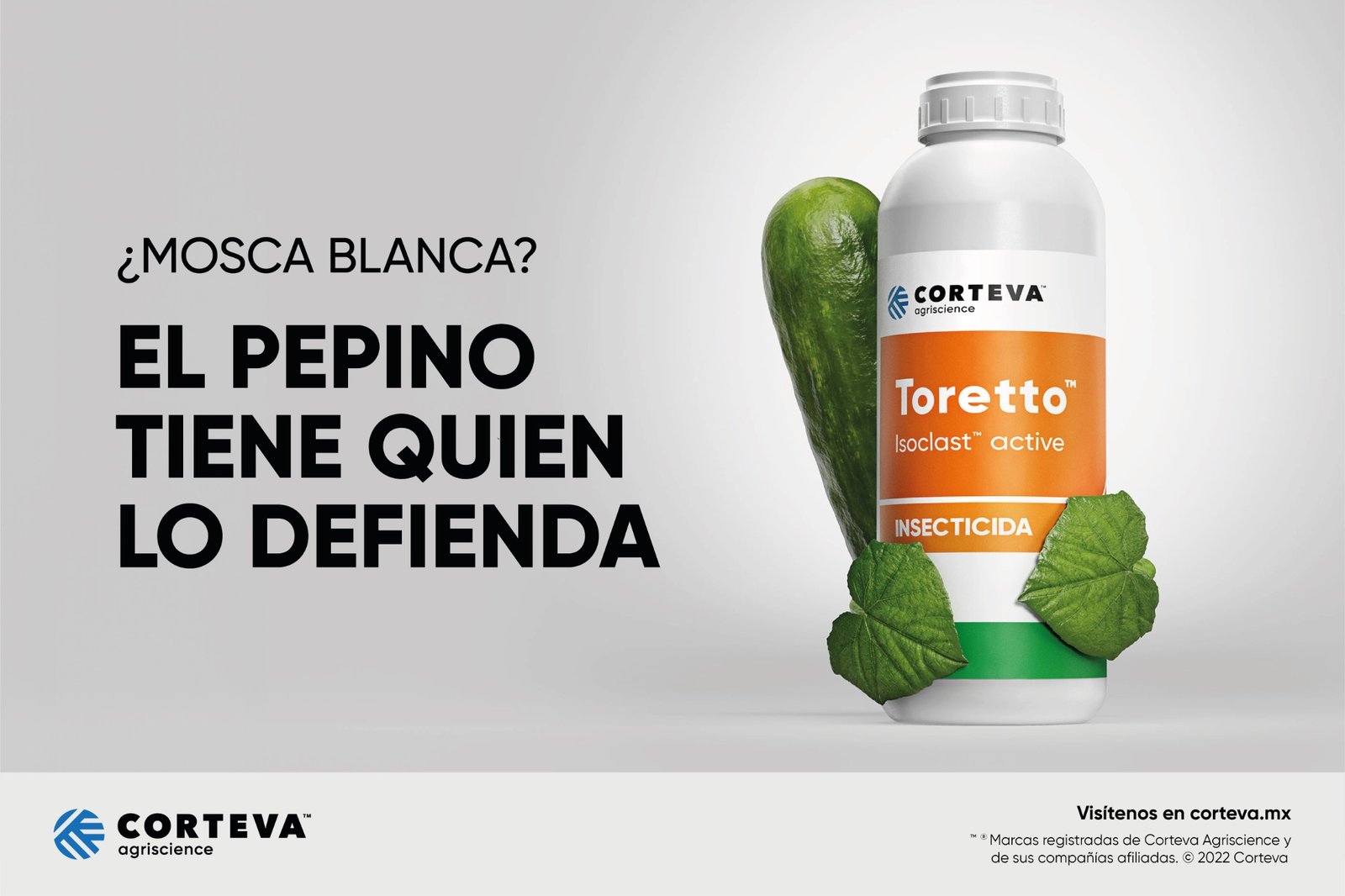 Key visual de Toretto para el cultivo de pepino.