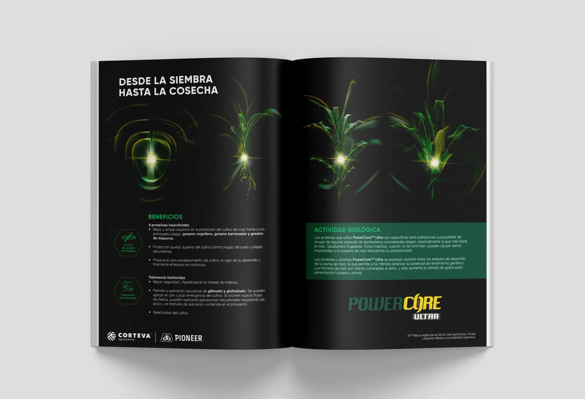 Pioneer · Publicación de revista